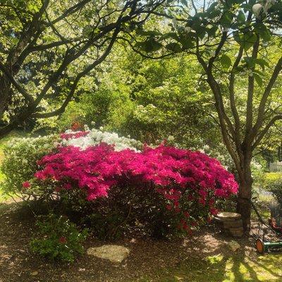 As You Are Consulting