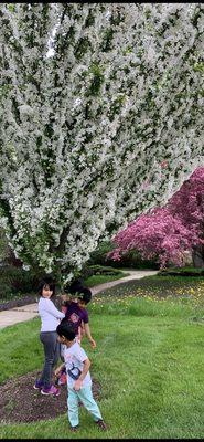 Blooming Buds Home Day Care