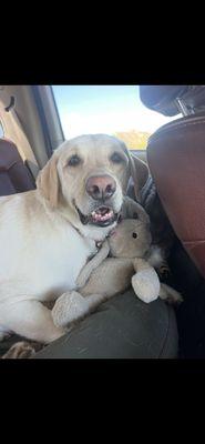 sol flower dispensary