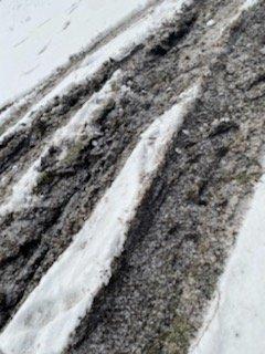 Life Arborist Tree Services & Stump Grinding