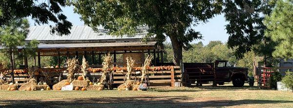 Part of the old farm