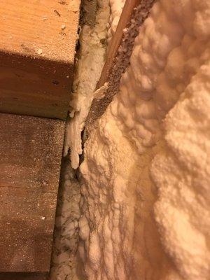 Mess I have to clean before drywall