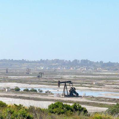 Harriett M Wieder Regional Park