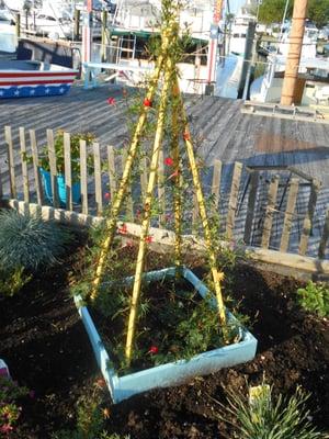 No Bones Bait & Tackle