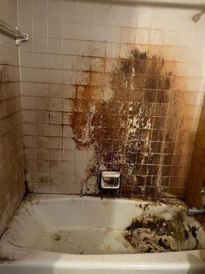 Americo Cleaning Service