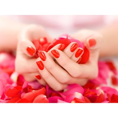 Alexis' Awesome Nail Salon