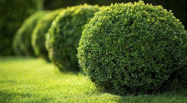 Conejo Complete Landscape