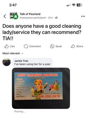 Rosy Cleaning Services