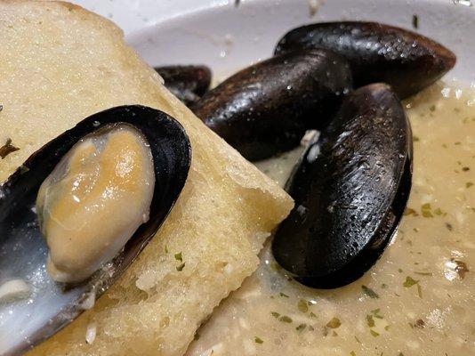 Mussels in white wine and garlic