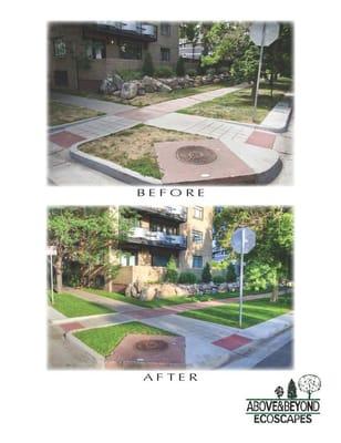 Above and Beyond Ecoscapes