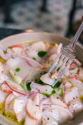 Scallop Ceviche