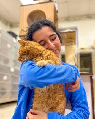 Elaine's Pet Resorts