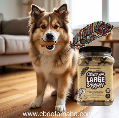 Apple & Honey CBD Large Treats