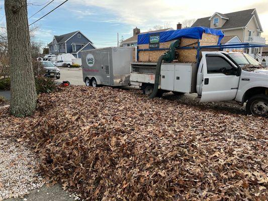 Mogz Lawn And Landscape