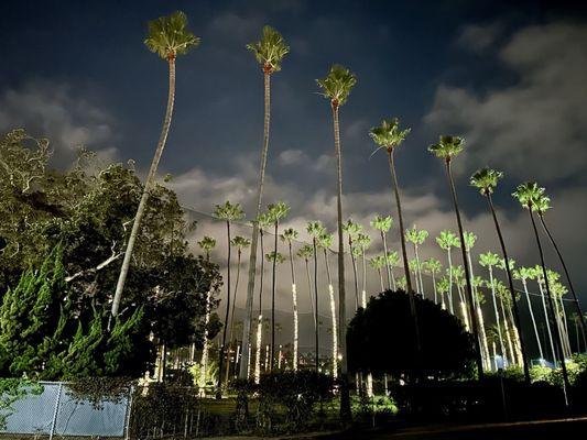 La Jolla Beach & Tennis Club