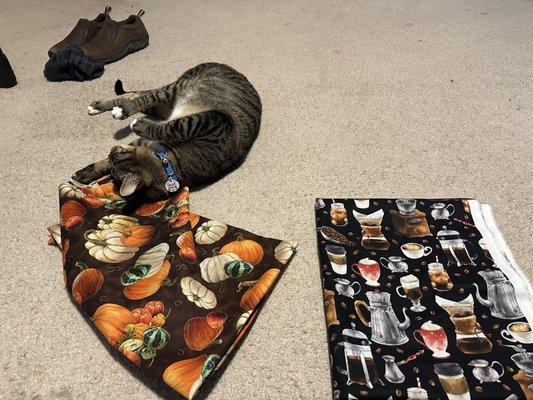 My cat loves the fabrics!
