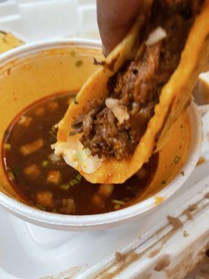 Taco birria