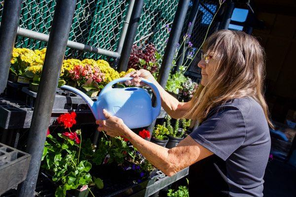 Sunshine True Value Hardware