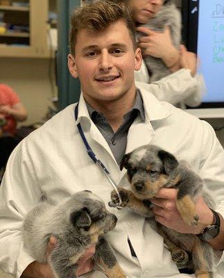 The Pet Clinic of Bradenton