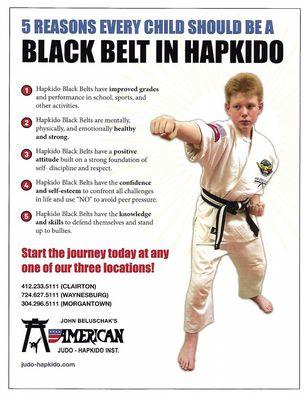 American Judo-Hapkido Inst