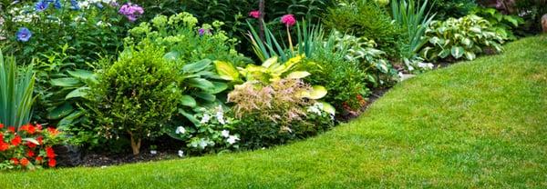 fabulous garden work! thanks guys :)