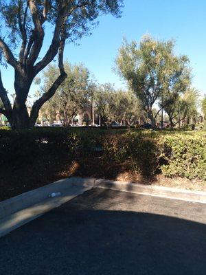 Bank of America Mortgage