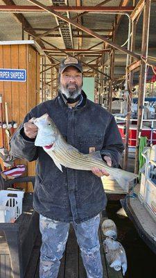Texoma Striper Snipers