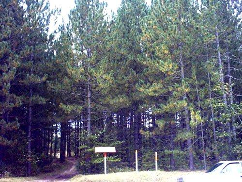 Enbridge Energy - Before Picture Enbridge Energy (pipeline corridor) in West Branch, MI BEFORE Pro-S