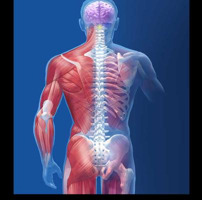 Hands-On Therapeutics