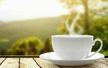 Zehlm Web Development, LLC