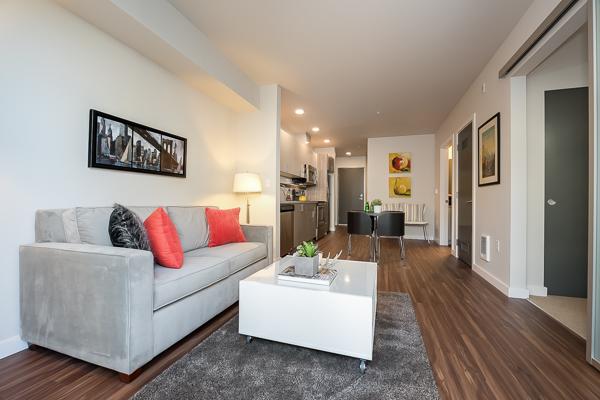 1 bedroom living room