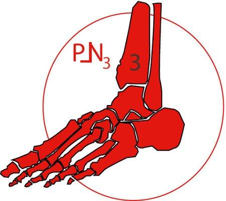 Percy Lee Nelson, DPM