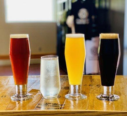 Cymatic Fermentation Project