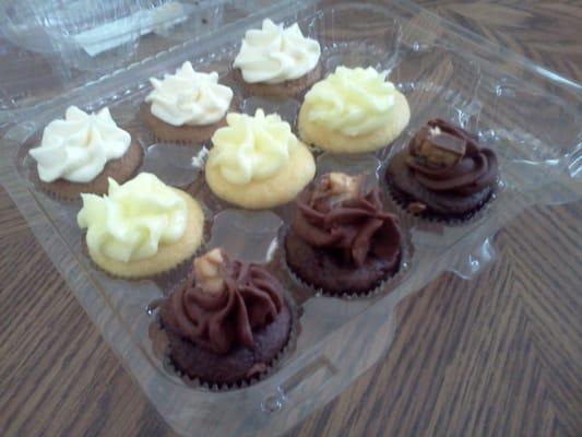 Carrot cake, lemon and snicker doodle mini cupcakes.