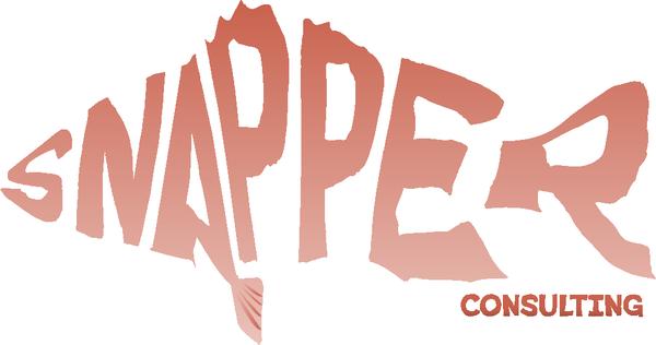 Snapper Consulting
