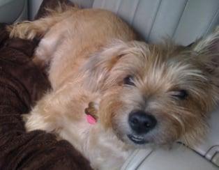 Vimar Auto Repair & Body