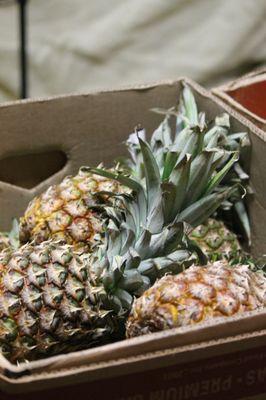 Fresh fruit and veggies local donations help fill our tables with healthy choices for every household in need.