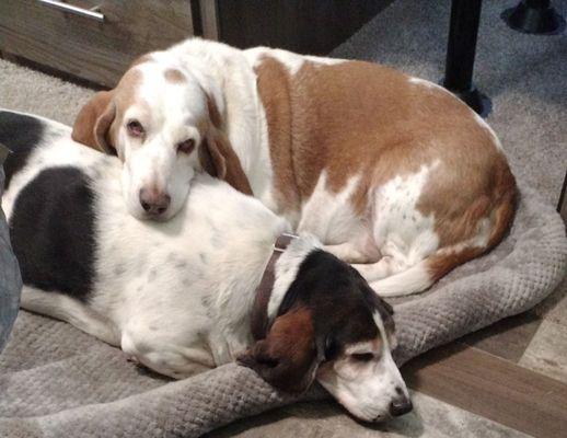 Kelly Korner Rv Park