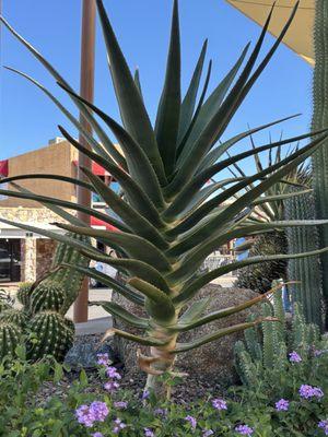 Sanderson Lincoln Pavillion