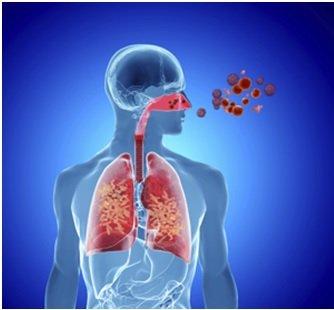 Premier Allergist - Fairfax