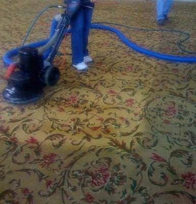 hotel carpet cleaning (wool carpet)