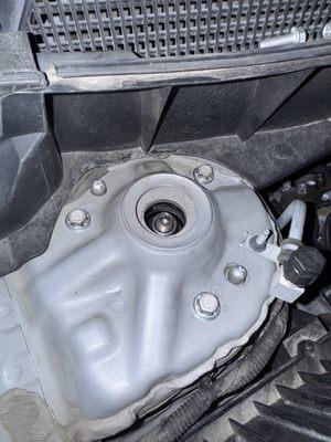 New front struts that make loud noises