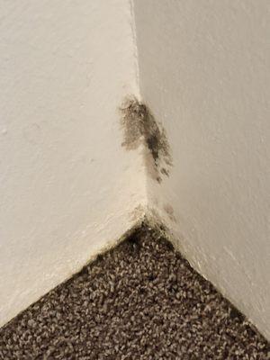 Other room in closet