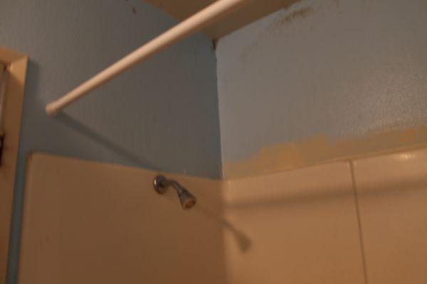 7011 Vassar Ave Apartments