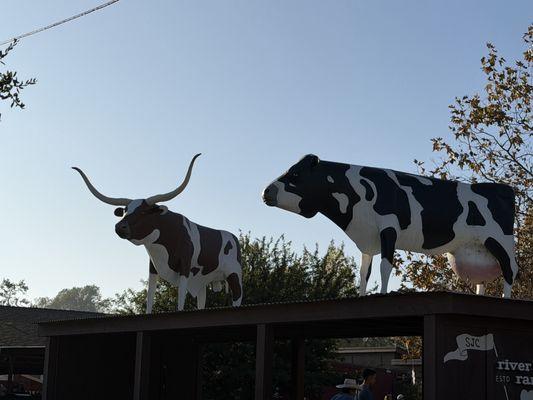 RIVER STREET RANCH, San Juan Capistrano, CA!