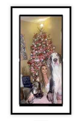 Ranger's Pet Outpost and Retreat