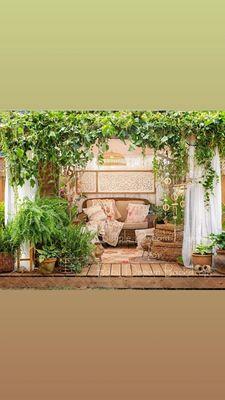 Lights Camera Ashley