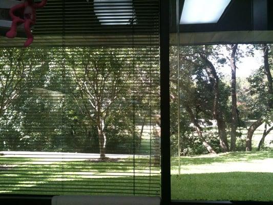 creek with bird feeder!