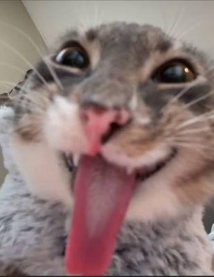 Silver Sands Montessori Charter School