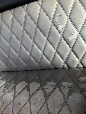 Azalea Limousine Service